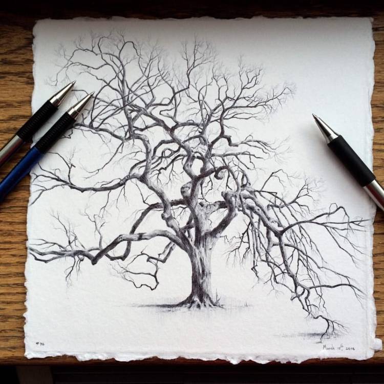 Дерево черной ручкой рисунок