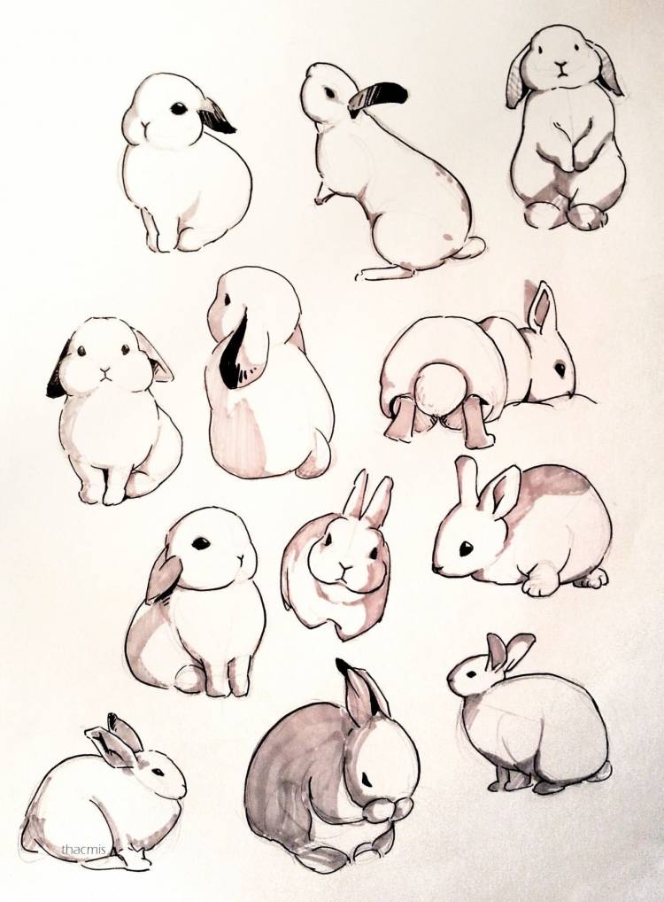 Кролик срисовка