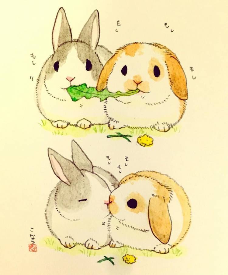 Милые рисунки кроликов для срисовки