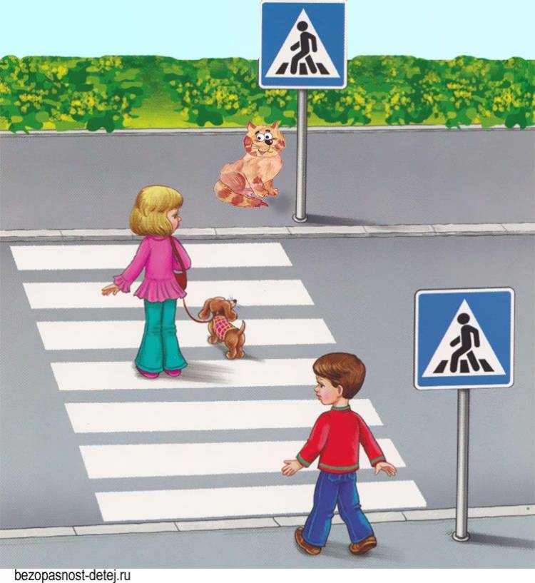 Безопасность дорожного движения картинки для детей