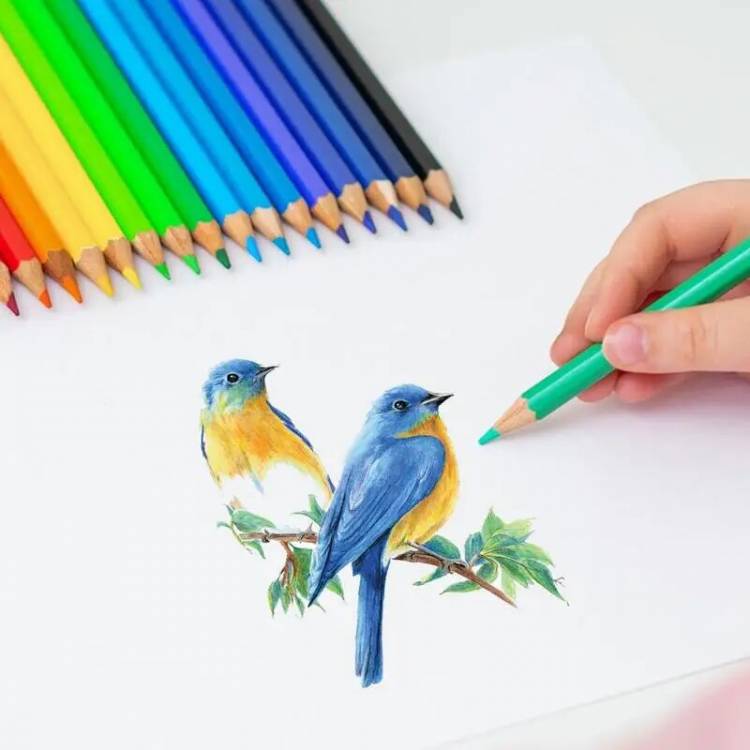 Набор цветных карандашей масляный карандаш, рисование искусств, набор с деревянной ручкой, художественный подарок для начинающих, детей, взрослых