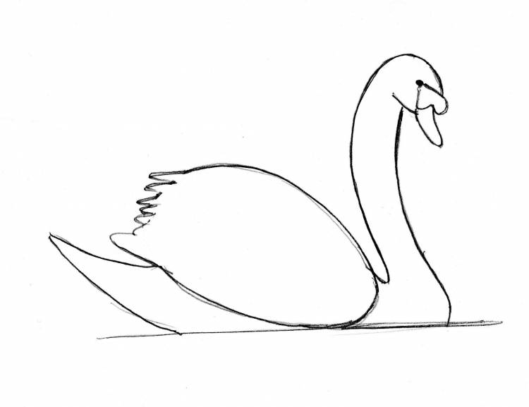 Лебедь рисунок карандашом для детей