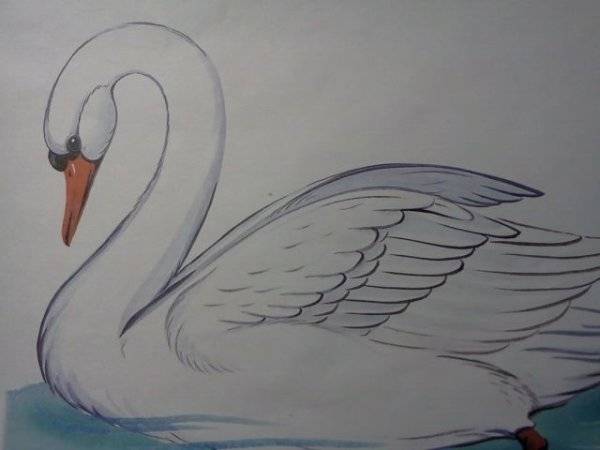 Картинки нарисованная лебеди на озере 