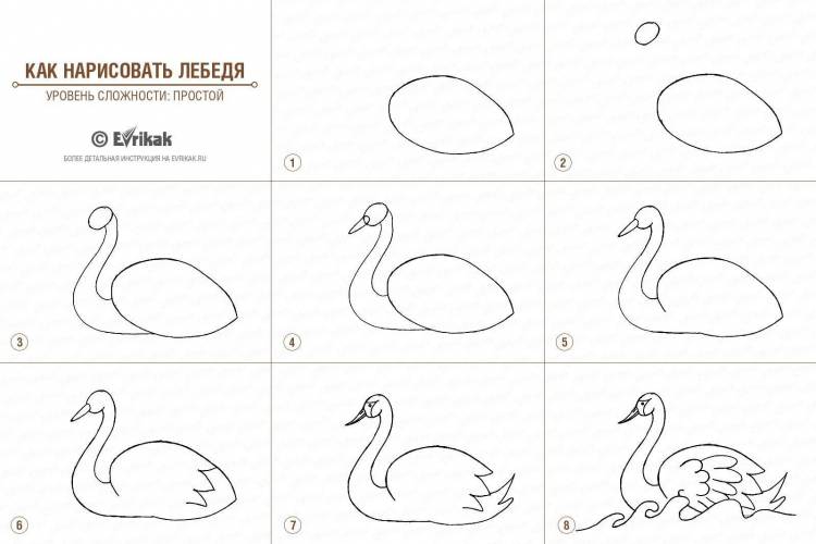Рисунок лебедь для детей карандашом