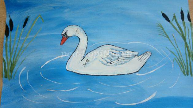 Поэтапное рисование гуашью лебедя для детей от