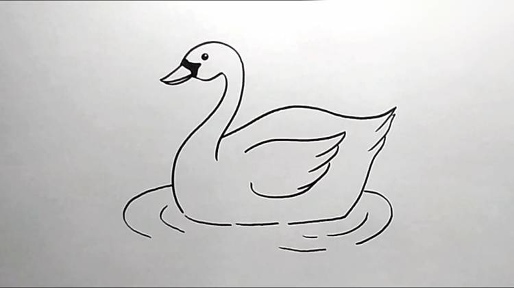 Поэтапное рисование лебедя