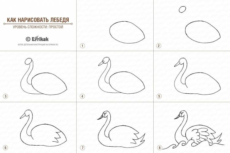 Простой рисунок лебедь