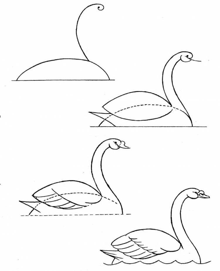 Простой рисунок лебедь