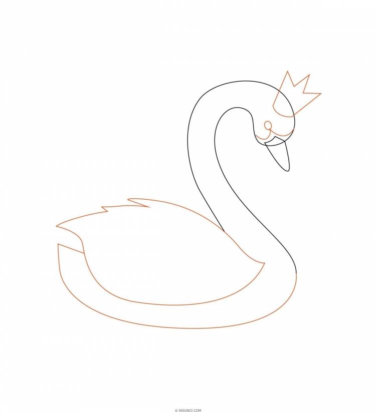 Рисунок лебедь простой