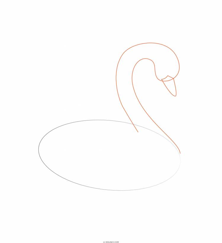 Как нарисовать царевну-лебедь поэтапно? Рисунки карандашом поэтапно