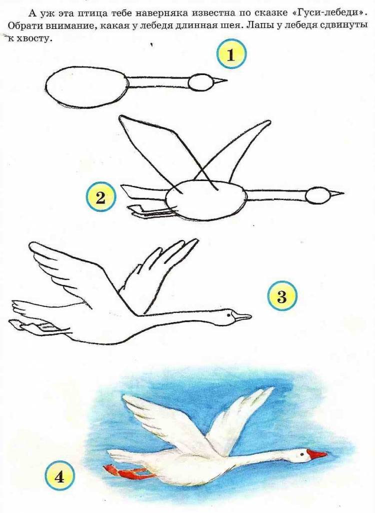Гуси лебеди рисунок для детей поэтапно 