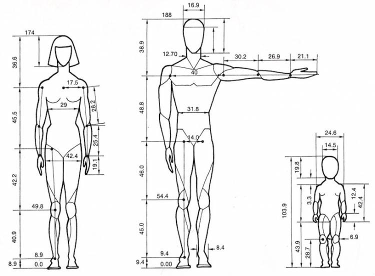 Создание пропорций тела человека