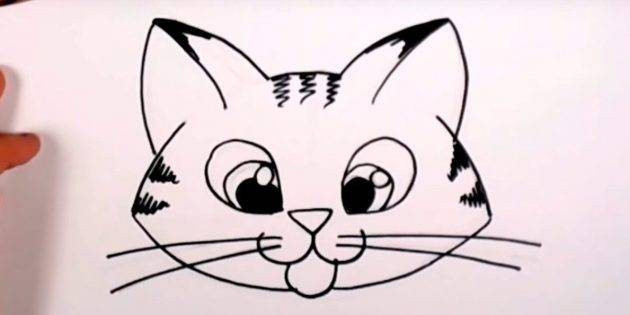 Рисунки карандашом мордочка кошки 