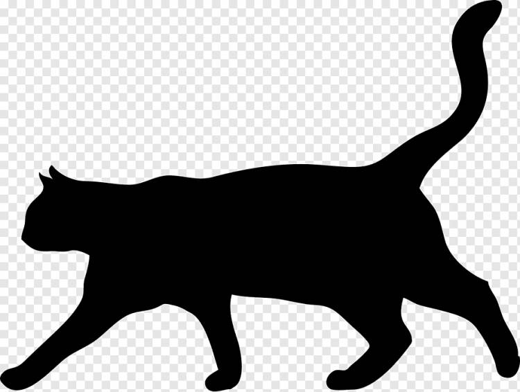 Кот силуэт котенка трафарет, кот, млекопитающее, животные, кошка Like Mammal png