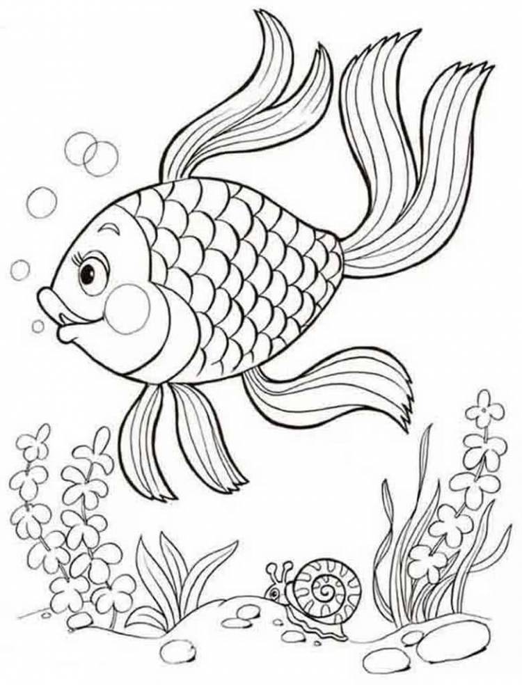 Раскраски Золотая рыбка