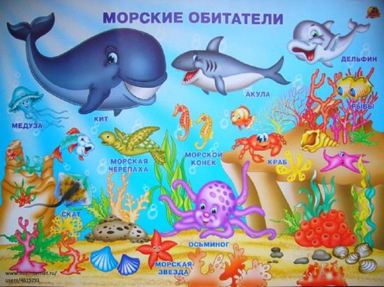 Презентация подводный мир для дошкольников