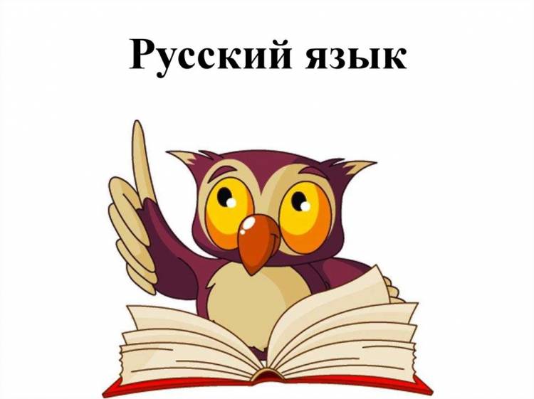Госдума приняла закон о защите государственного русского языка