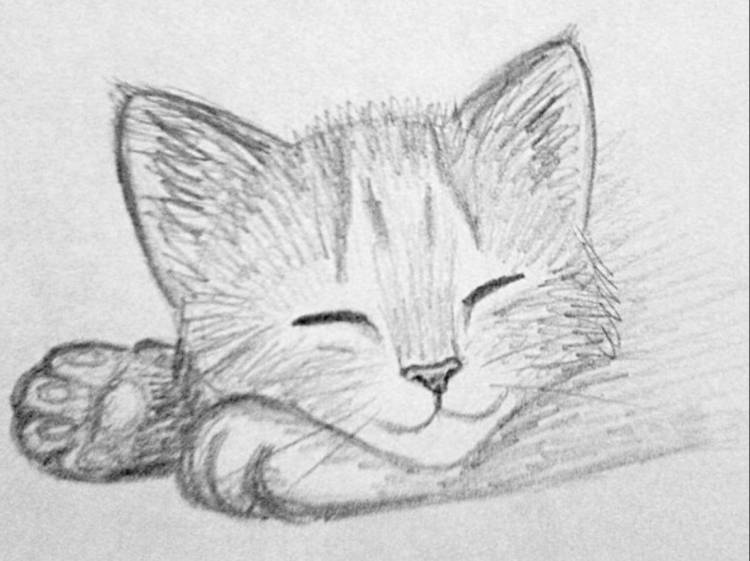 Легкие рисунки котиков