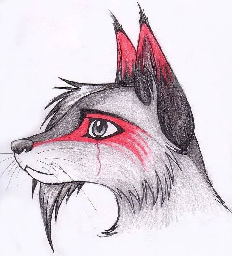 Идеи для срисовки красный волк легкие 