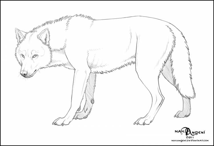 Красный волк для срисовки