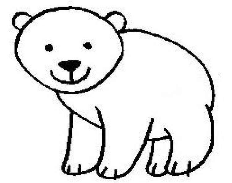 Белый медведь простым карандашом