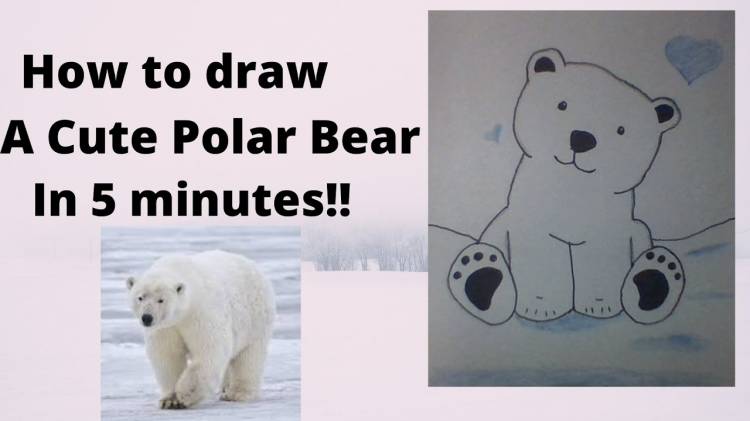 как нарисовать белого медведя