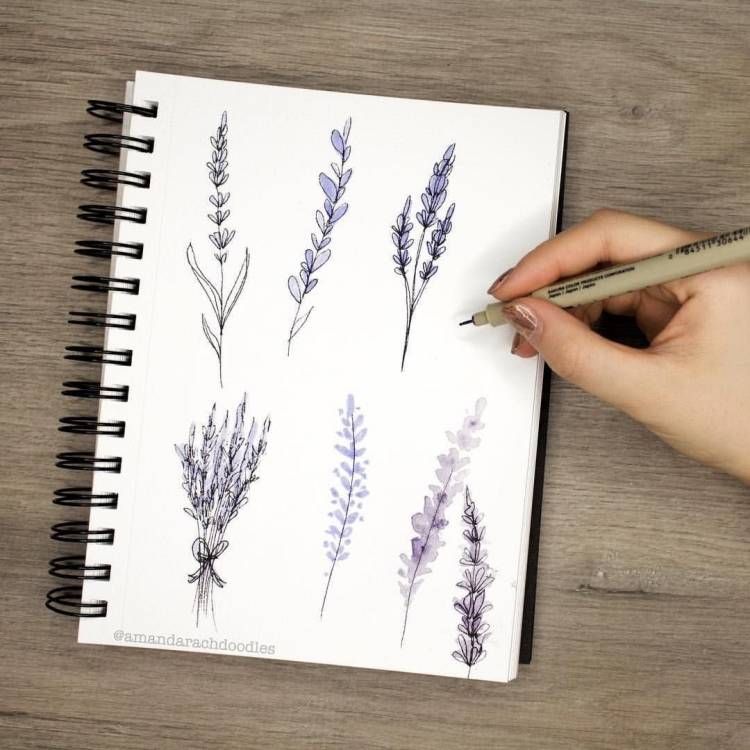 Красивые рисунки ручкой простые