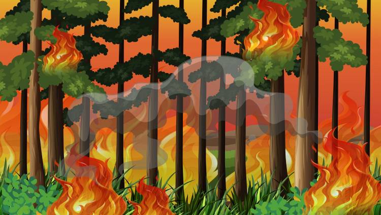 Рисунок горит лес