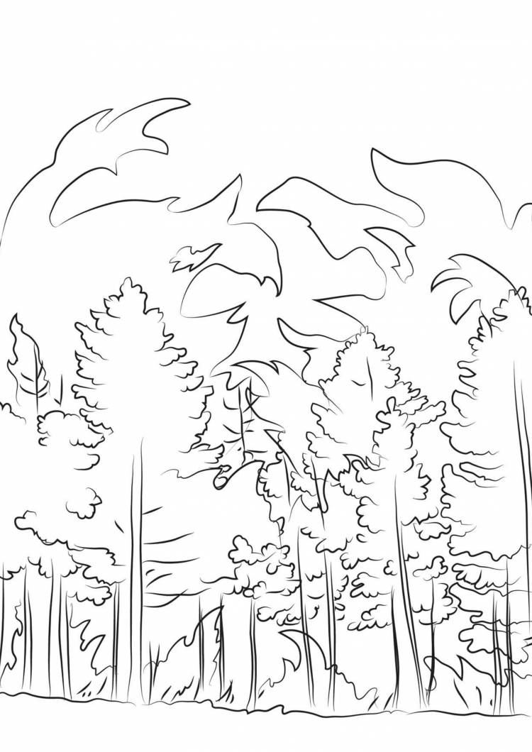 Как нарисовать горящий лес