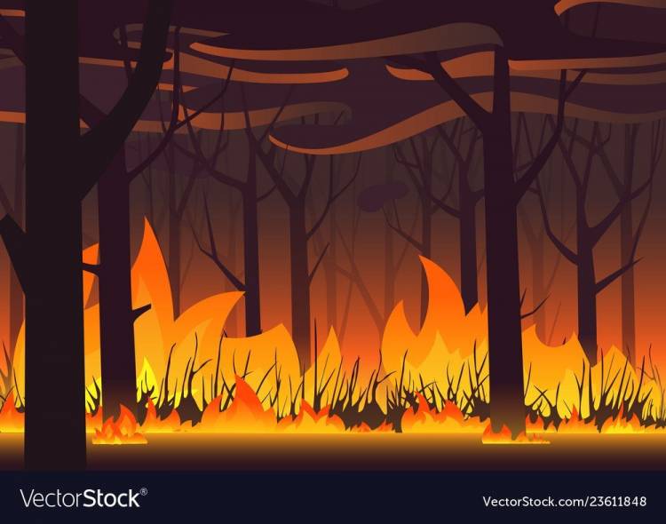 Рисунок горит лес