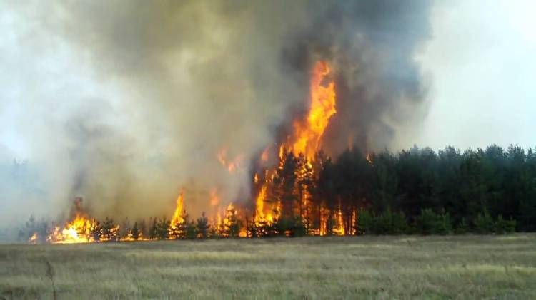 В Сунтарском улусе лесной пожар угрожает селу Мар-Кюель