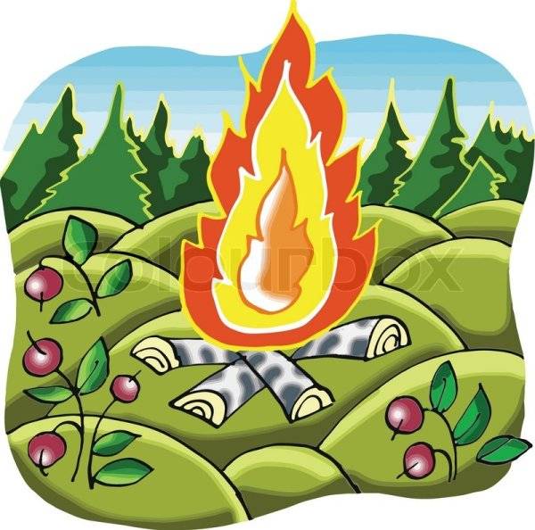 Картинки не разводи огонь в лесу для детей 