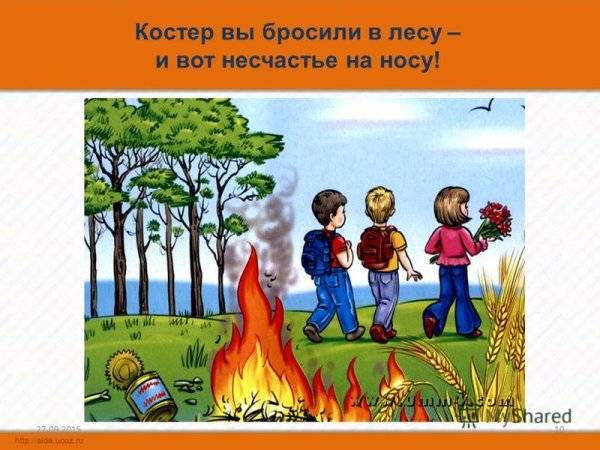 Картинки не играй с огнем в лесу для детей 
