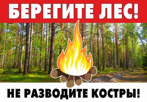 Картинки не разводи огонь в лесу для детей 