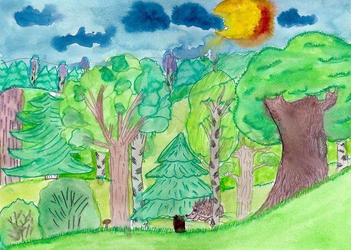 Лесной пейзаж в рисунках и картинках для детей