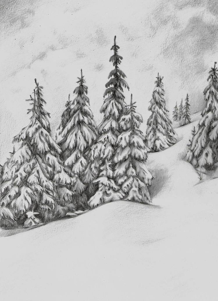 Рисунок зимний лес легкий карандашом