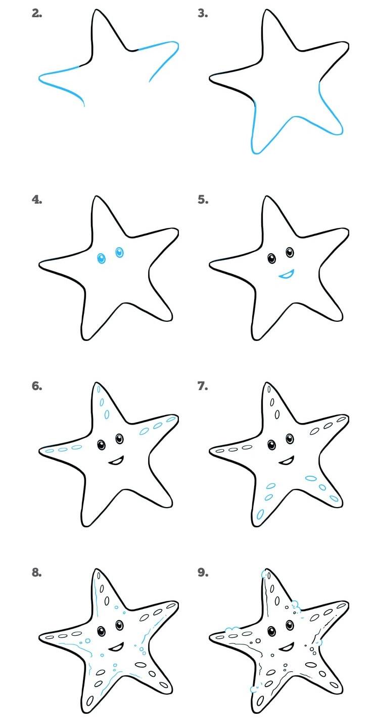 Морская звезда рисунок поэтапно
