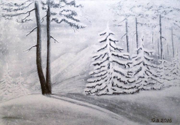 Зимний лес закат