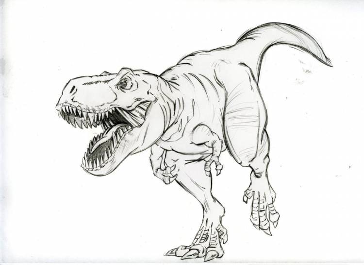 Картинки динозавров для срисовки