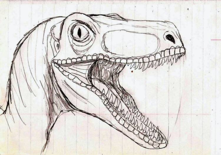 Динозавры рисунки карандашом для срисовки легкие