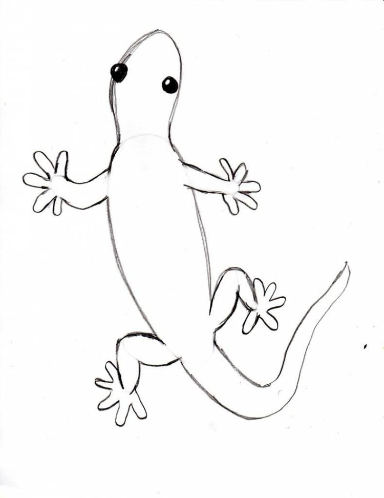 Рисунок карандашом ящерица для детей