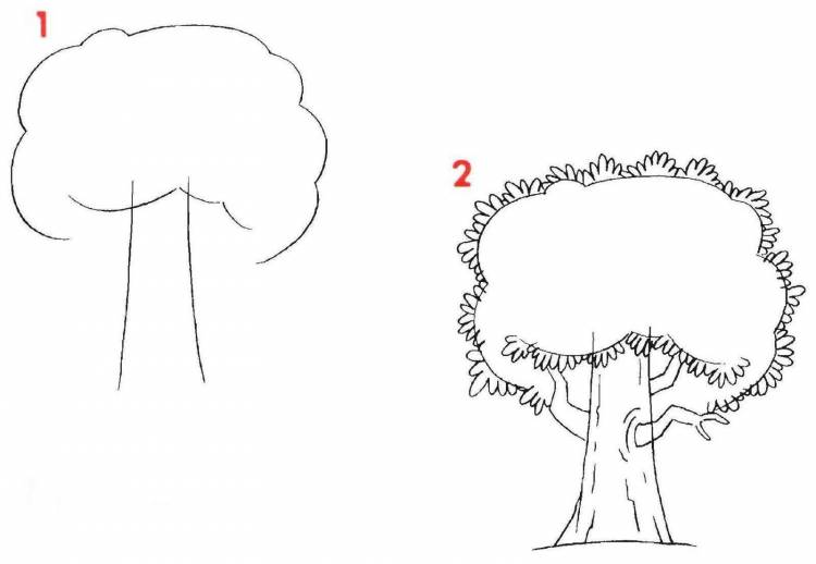 Рисунок дуб для детей карандашом
