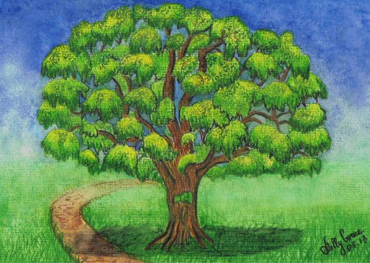 Дерево дуб рисунок