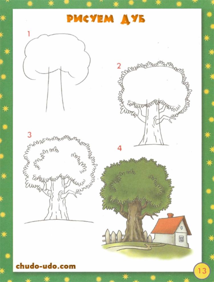 Как рисовать дуб