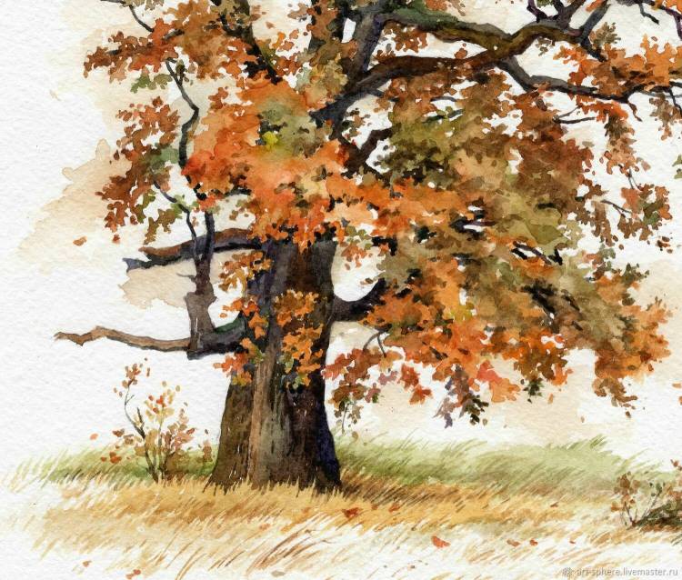 Осенний дуб рисунок