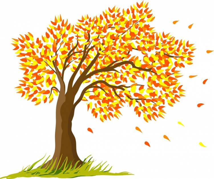 Детский рисунок деревья осенью