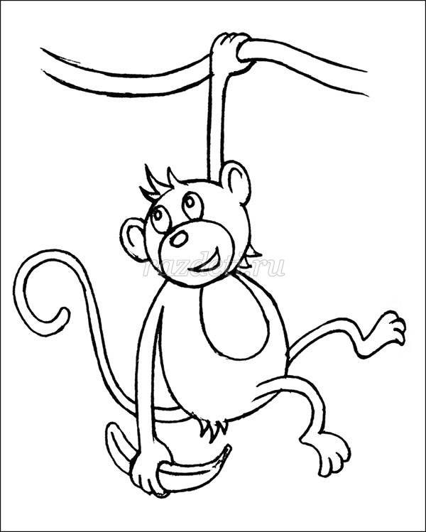 Как нарисовать обезьяну карандашом поэтапно для детей