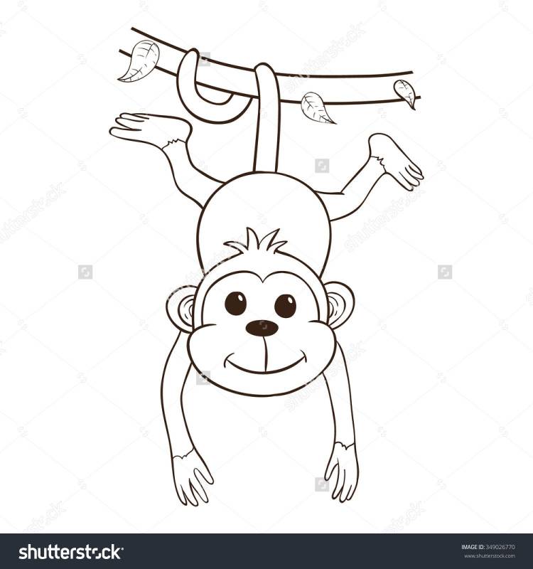 Рисунок обезьяны легкий для детей