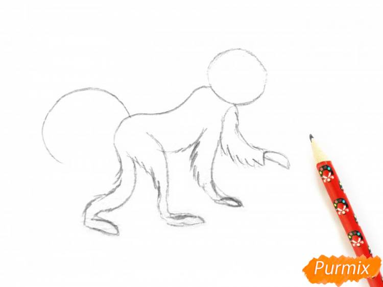 Как нарисовать обезьяну поэтапно