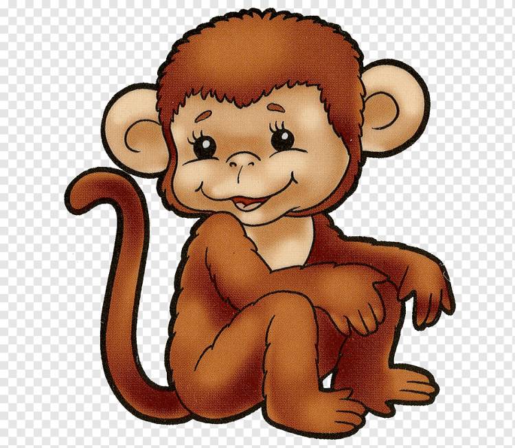 Рисунок обезьян, обезьяна, млекопитающее, животные, кошка png